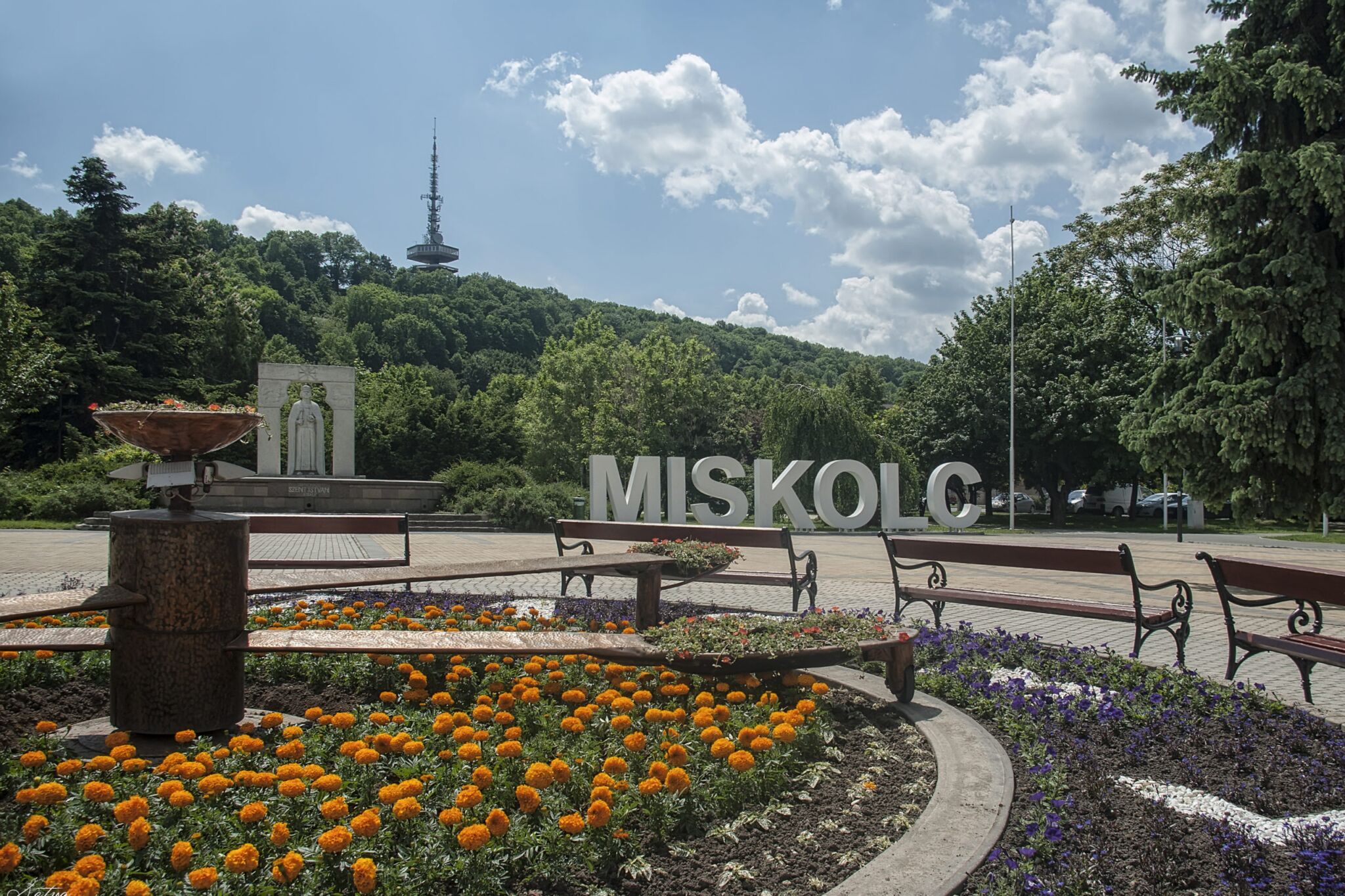 Weboldal készítés miskolc