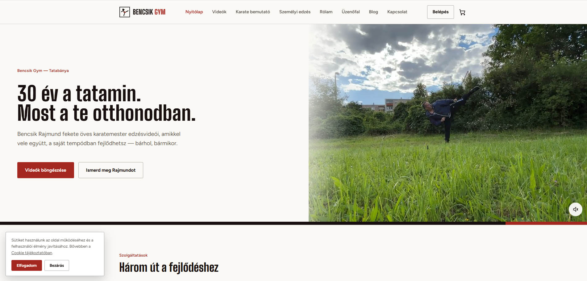 Küzdősport videók weboldal